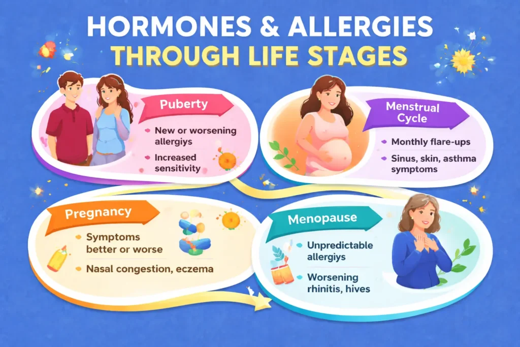 Hormones and allergies life stages infographic showing puberty menstrual cycle pregnancy and menopause effects on allergy symptoms
